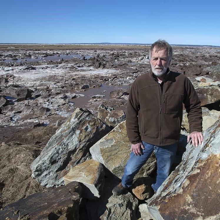 N.B. senator's bill would require Ottawa to pay for Chignecto Isthmus project